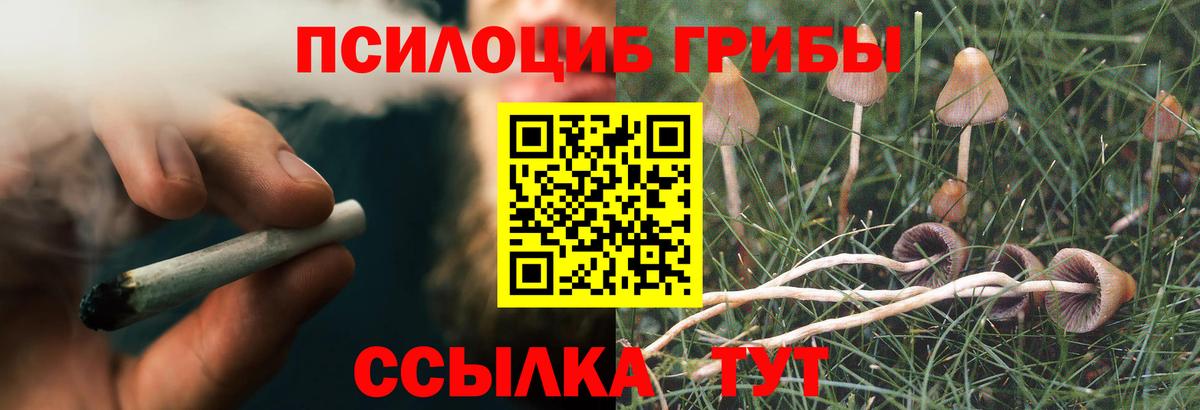Псилоцибиновые грибы Psilocybine cubensis  Вход с VPN  Мончегорск  Псилоцибиновые грибы Cubensis 