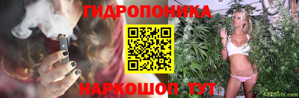 Конопля конопля Мончегорск